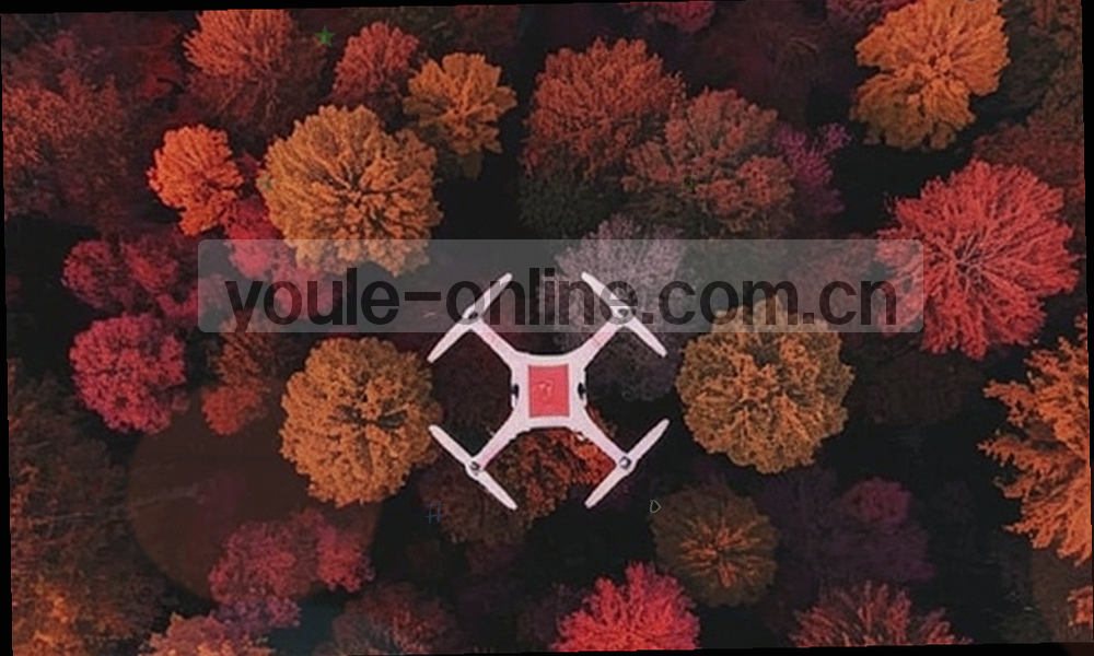 两个大号步骤节点连线构成的注册导出流程示意，橙红表示完成第一步，青绿表示已进入账户